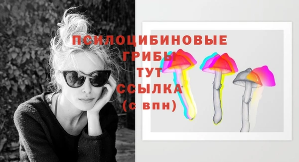 прущий лед Алексин