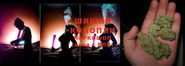 ПСИЛОЦИБИНОВЫЕ ГРИБЫ Алексеевка