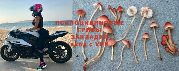 mdpv Алзамай