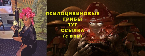 ПСИЛОЦИБИНОВЫЕ ГРИБЫ Алексеевка