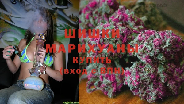 ПСИЛОЦИБИНОВЫЕ ГРИБЫ Алексеевка