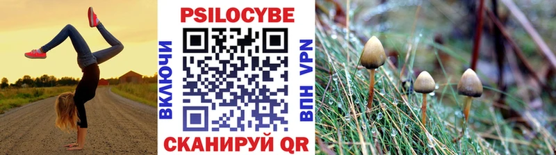 Галлюциногенные грибы прущие грибы  Ковылкино 