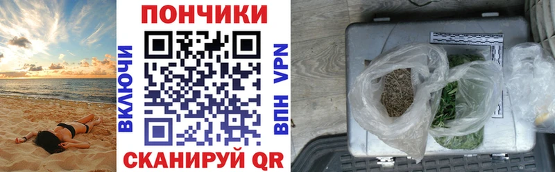 Бошки марихуана марихуана  Ковылкино 